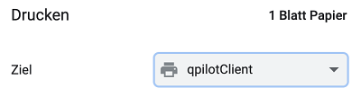 Apple_QPilot_5